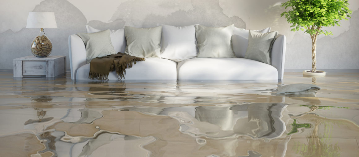 What To Do After A Storm If You Have Water Damage Or Mold thumbnail