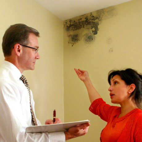 Got A Mold Mess? The Do's And Don'ts thumbnail